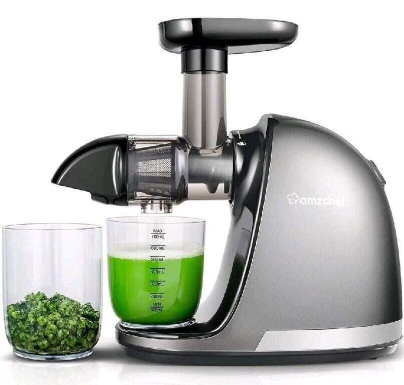 AMZCHEF Slow Masticating Juicer with Reve