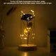 LANTRO JS Rose Flower LED Light