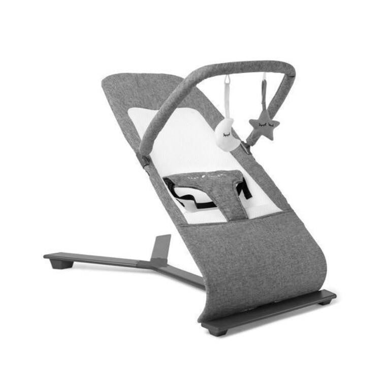 Baby Delight Alpine Deluxe Portable Bouncer, Charcoal Tweed