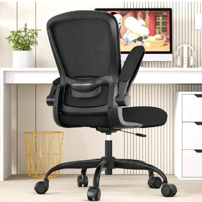 Ergonomic Desk Chair with Adjustable Lumbar Support & Seat Height