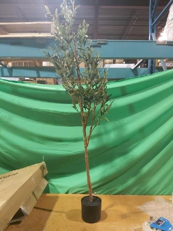 Decorative olive tree 5 feet