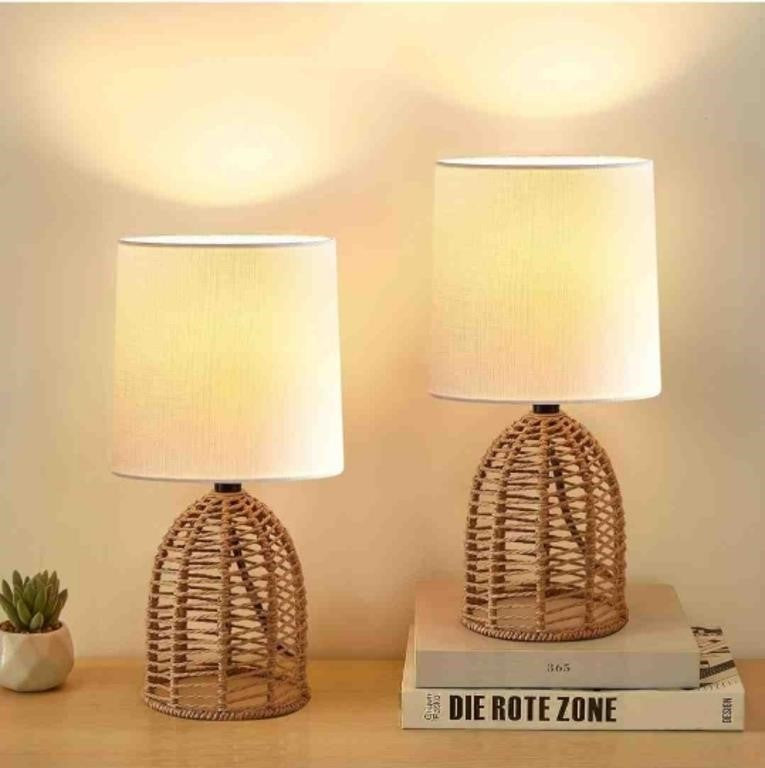 EJIAXIN Rattan Boho Lamp, 13.75" Mi