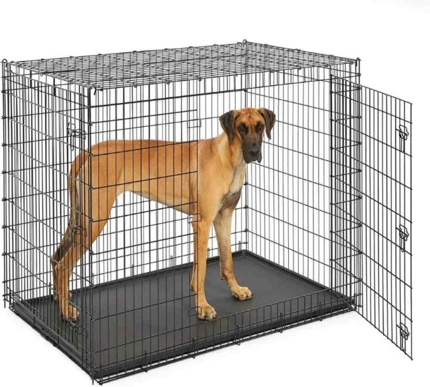 Midwest Homes for Pets SL54DD Ginormus Do