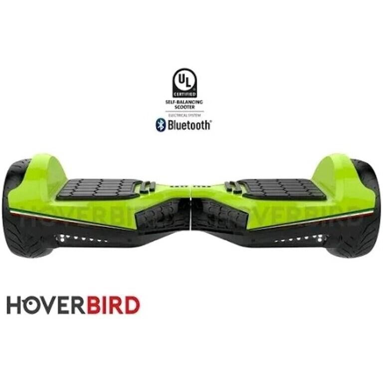 HOVERBIRD ES11 PRO 500W Hoverboard with 6.5” Tires