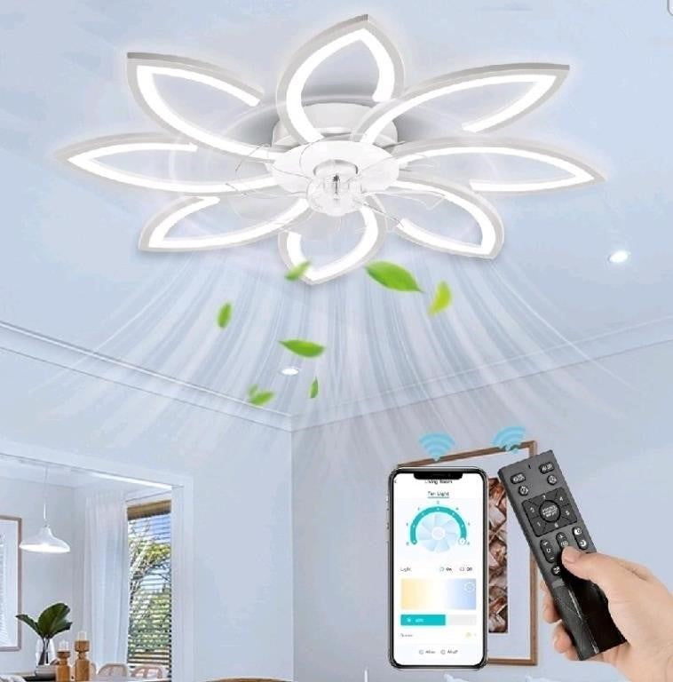 NACATIN Ceiling Fans with Lights and Remo