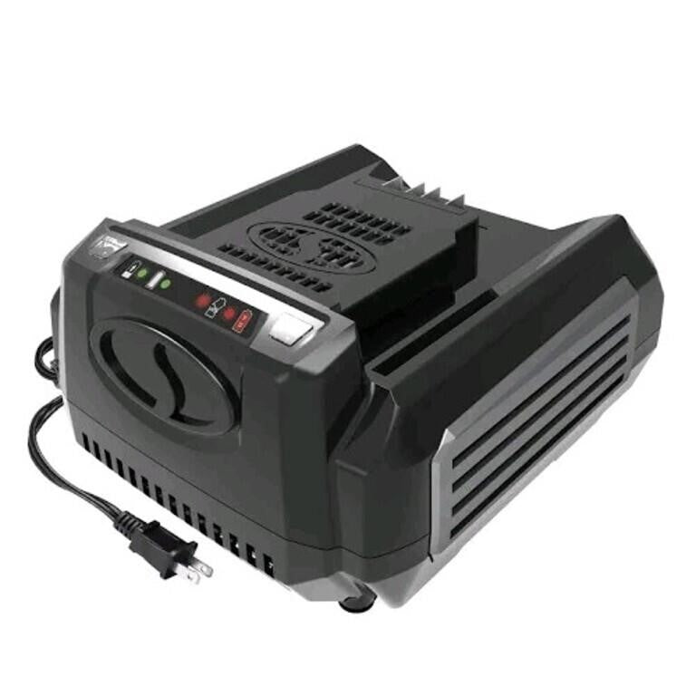 Snow Joe 100V Rapid Charger for iON100V Series