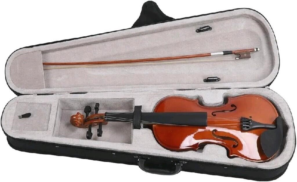 Acoustic Violin Full Basswood Steel Wire