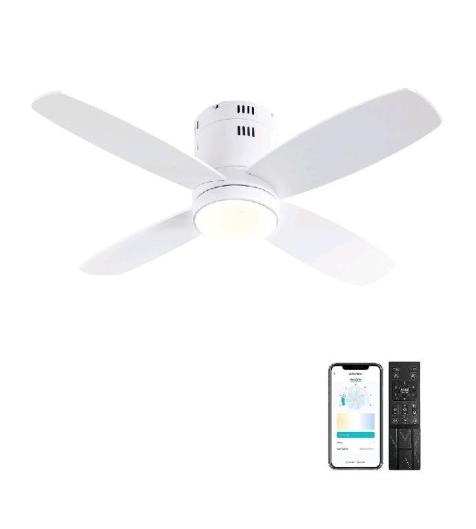 Ohniyou Ceiling Fan with Lights - 38'' Small Low P